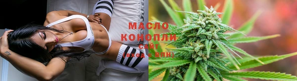 крисы Богородск
