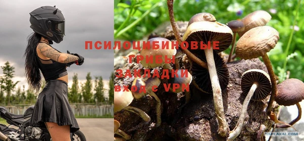 мет Богданович