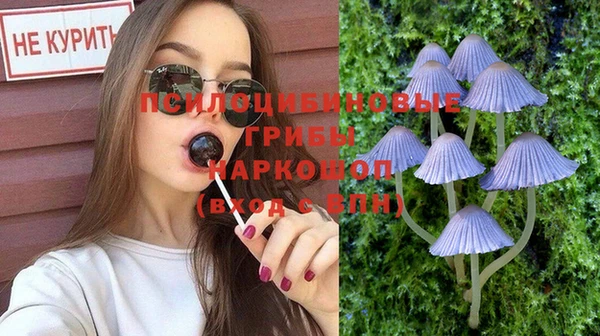 мет Богданович