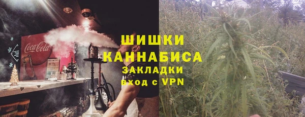 крисы Богородск