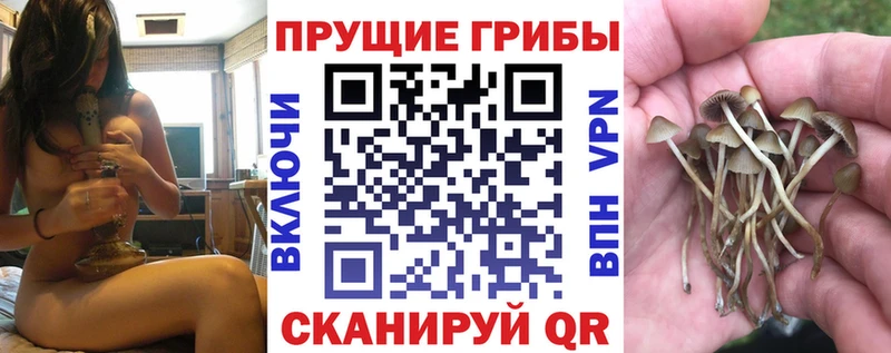 Галлюциногенные грибы GOLDEN TEACHER  как найти закладки  Оренбург 
